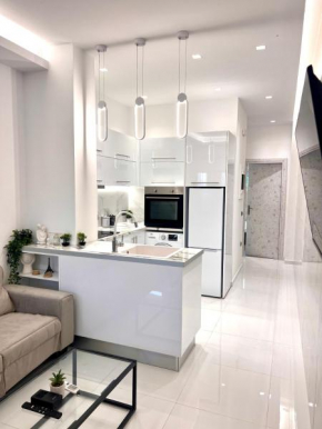 Luxury White interior Apartment